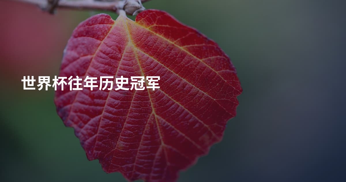 世界杯往年历史冠军