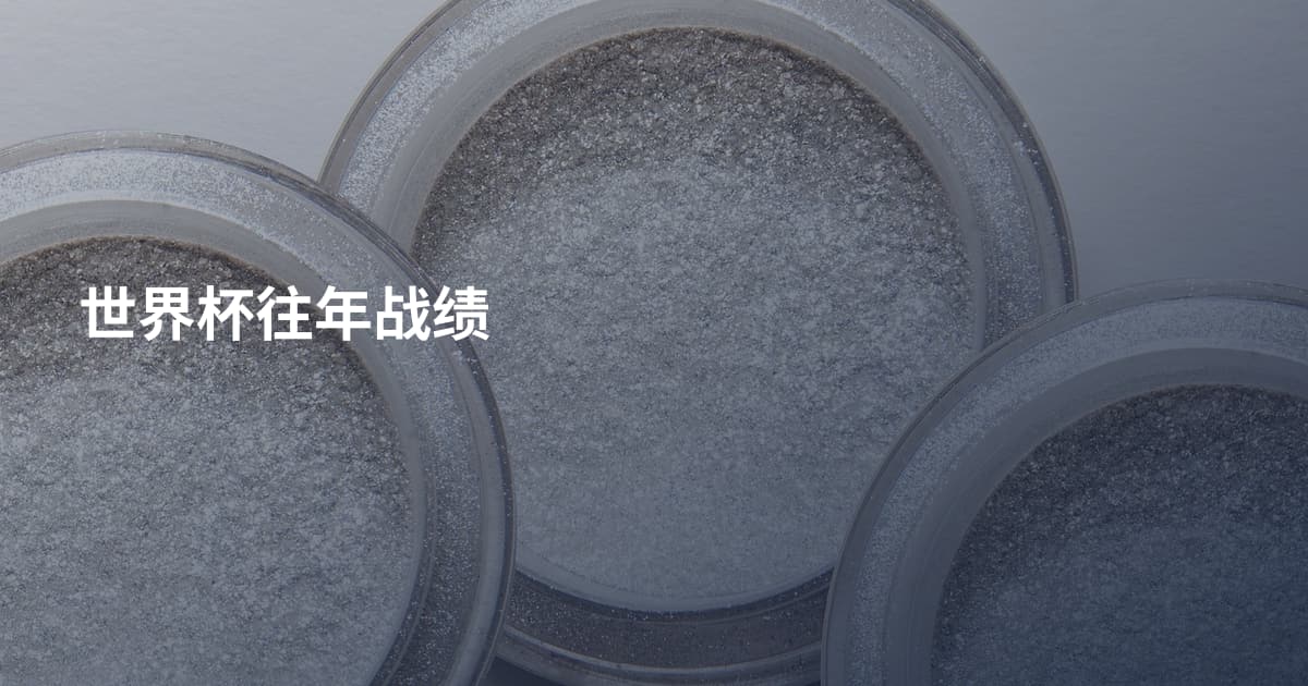 世界杯往年战绩