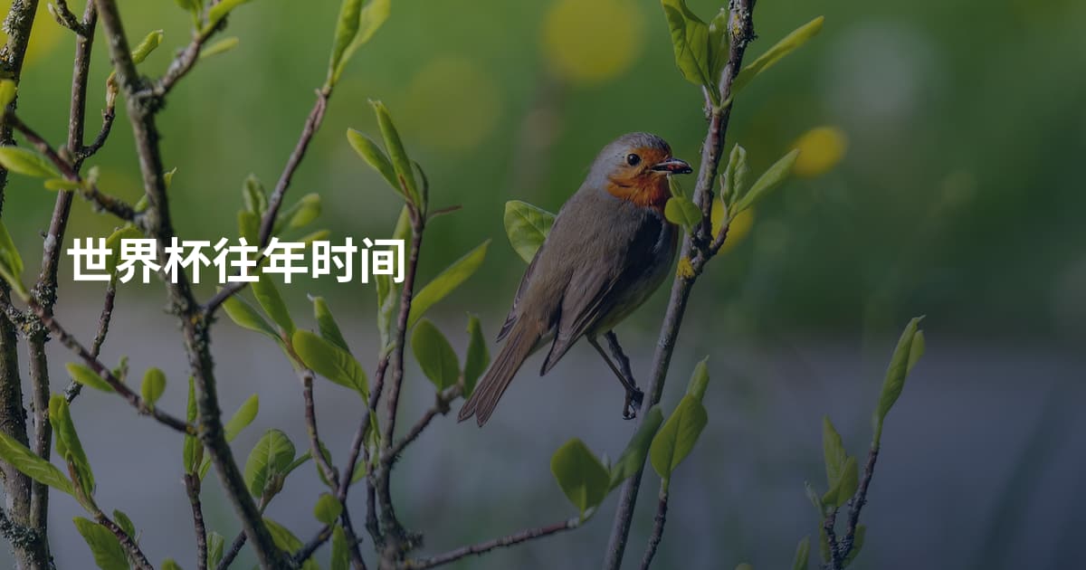 世界杯往年时间