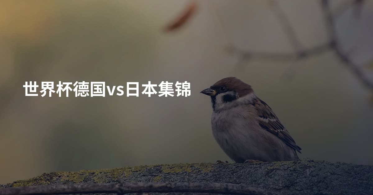 世界杯德国vs日本集锦