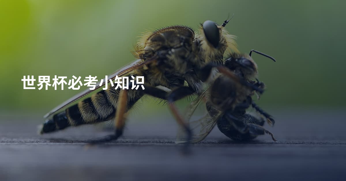 世界杯必考小知识