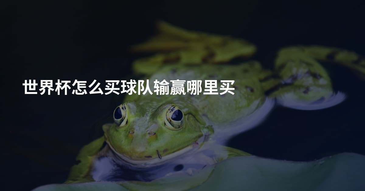 世界杯怎么买球队输赢哪里买