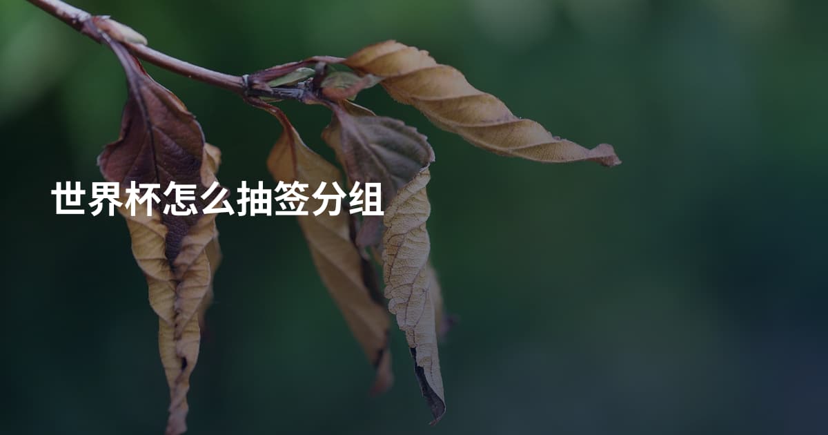 世界杯怎么抽签分组