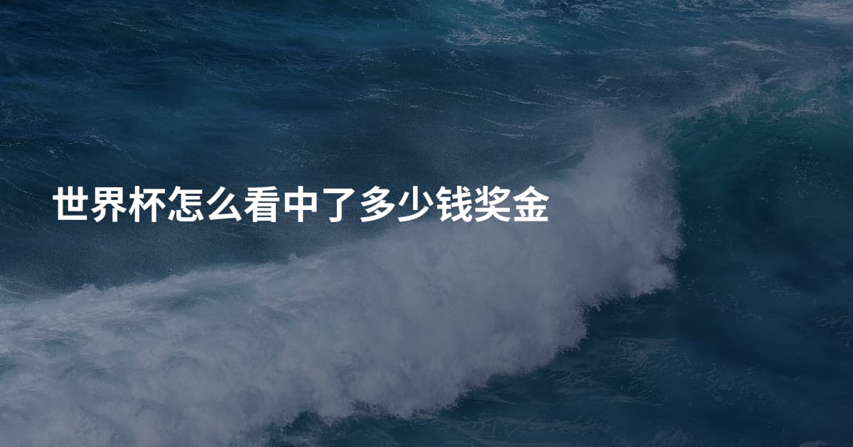 世界杯怎么看中了多少钱奖金