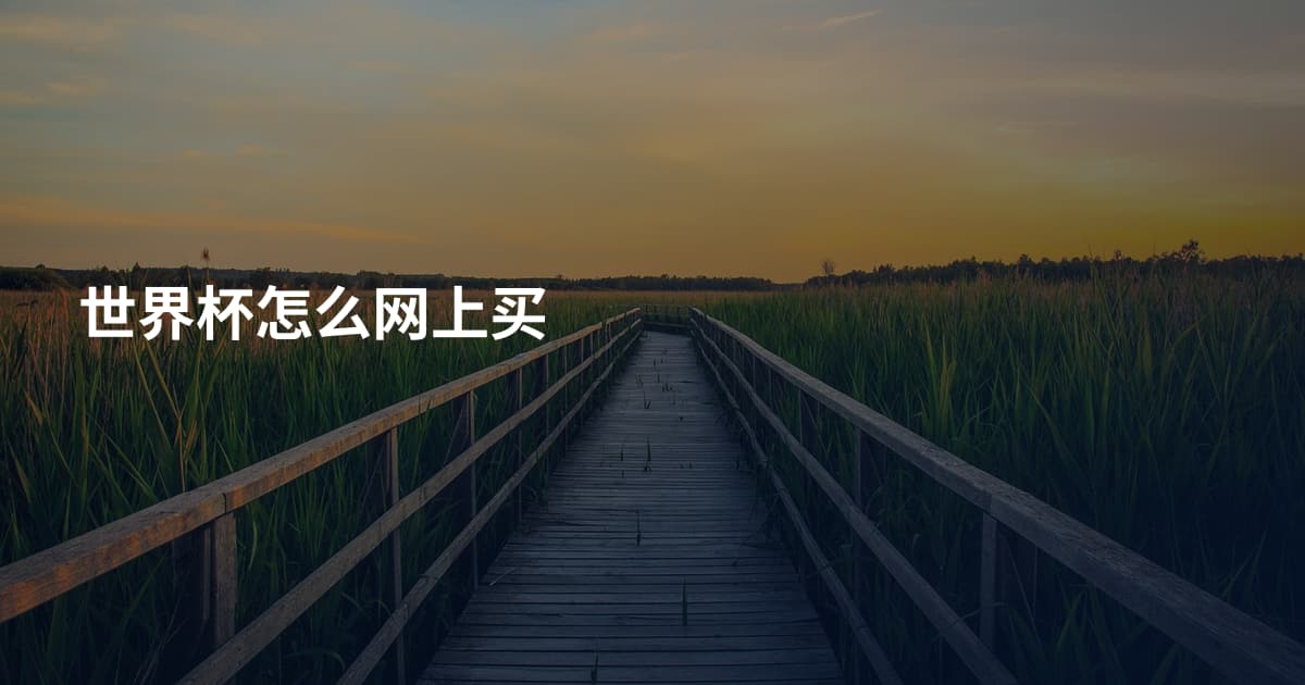 世界杯怎么网上买