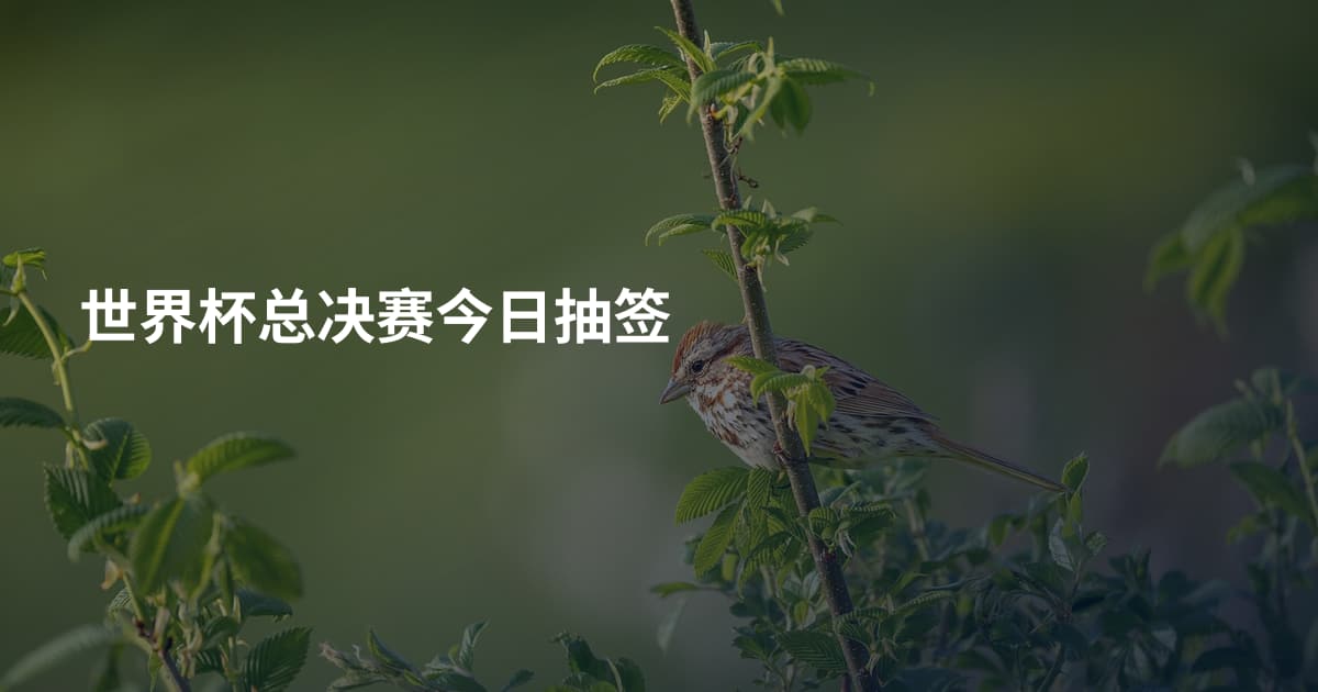 世界杯总决赛今日抽签