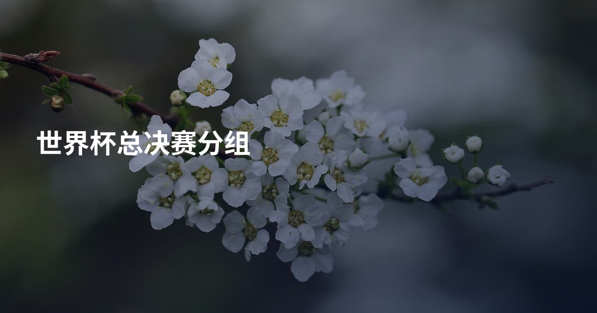 世界杯总决赛分组