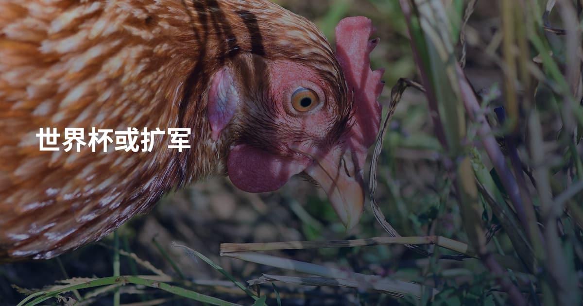 世界杯或扩军