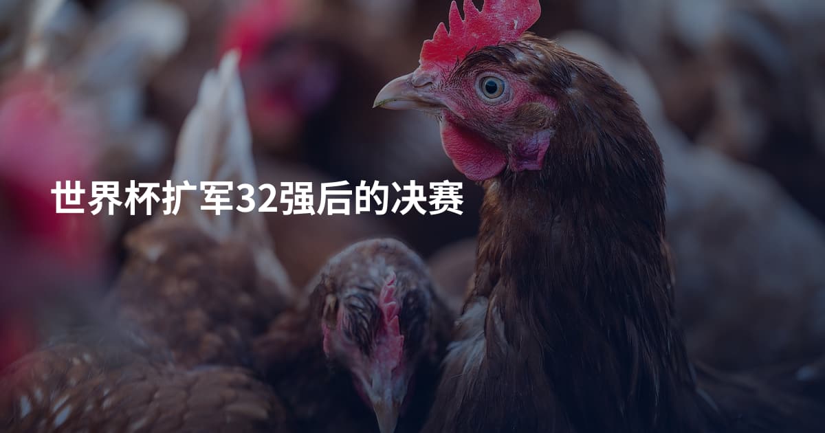 世界杯扩军32强后的决赛