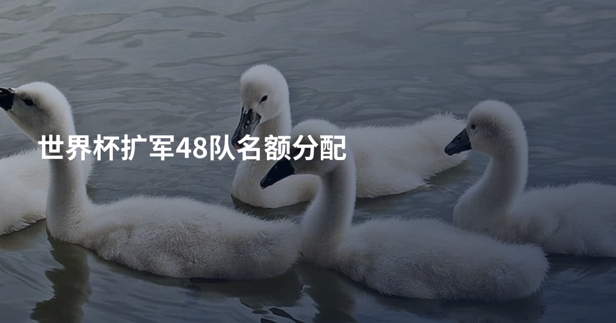 世界杯扩军48队名额分配