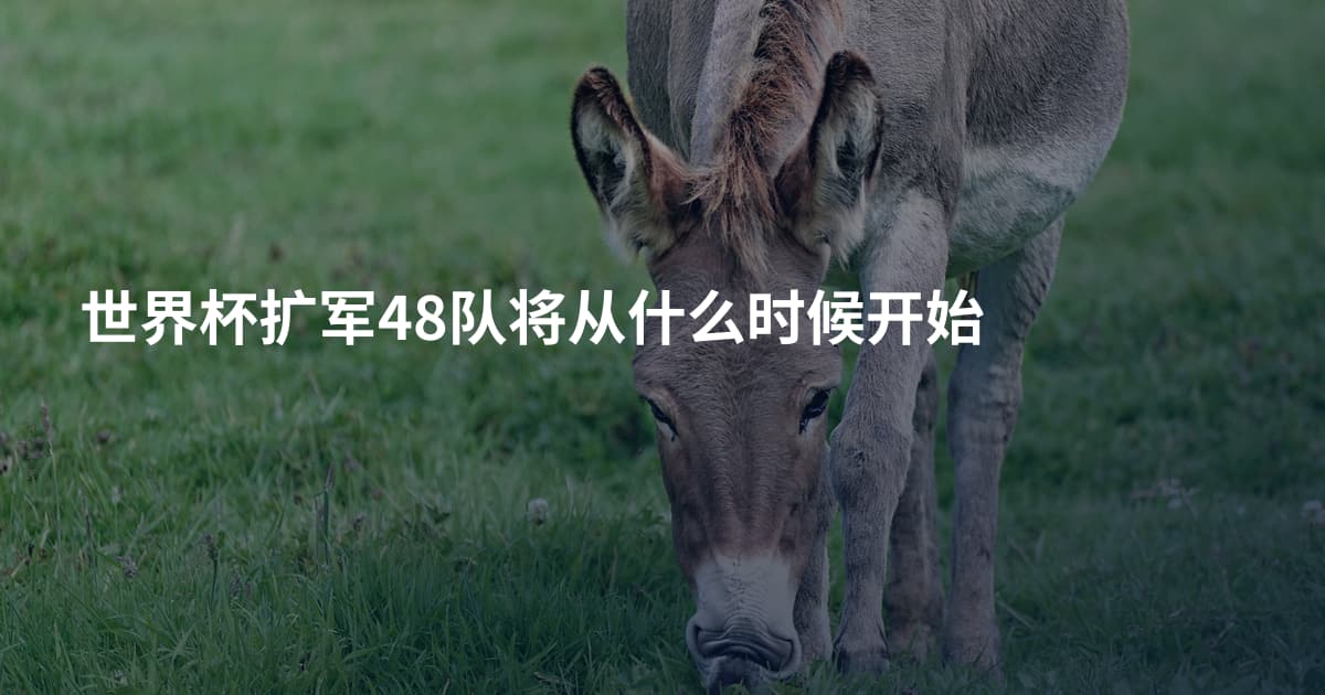 世界杯扩军48队将从什么时候开始