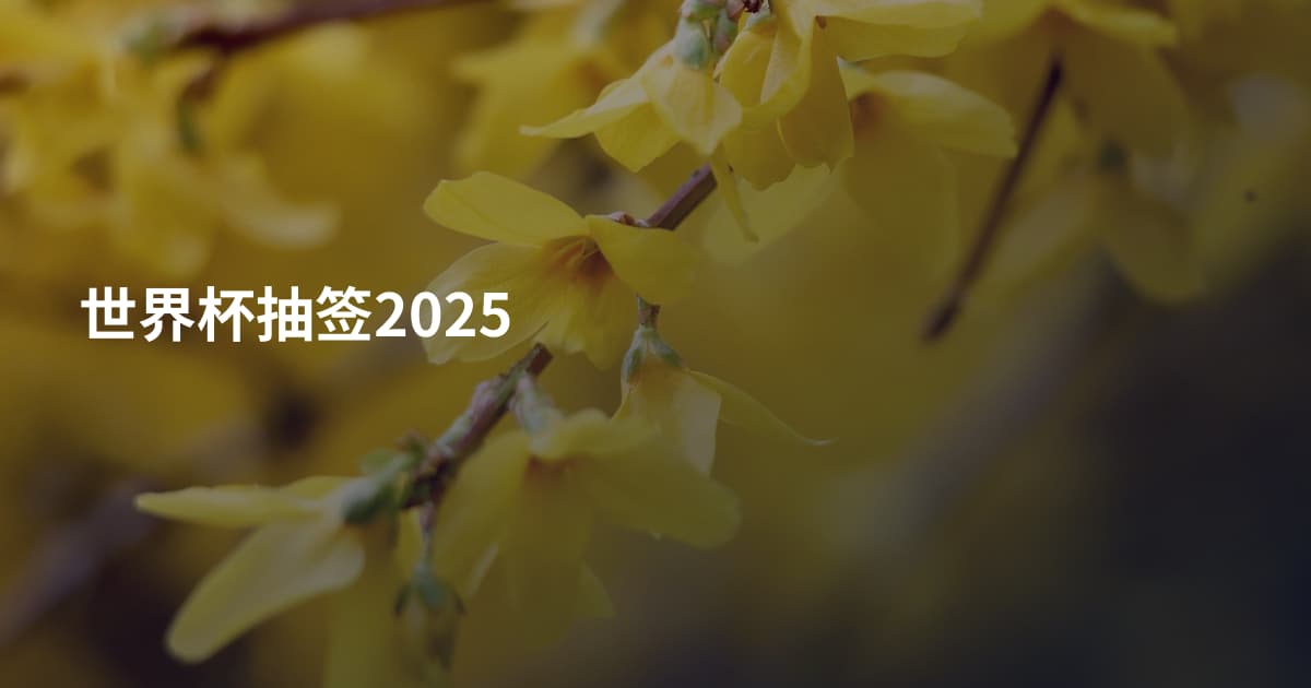 世界杯抽签2025