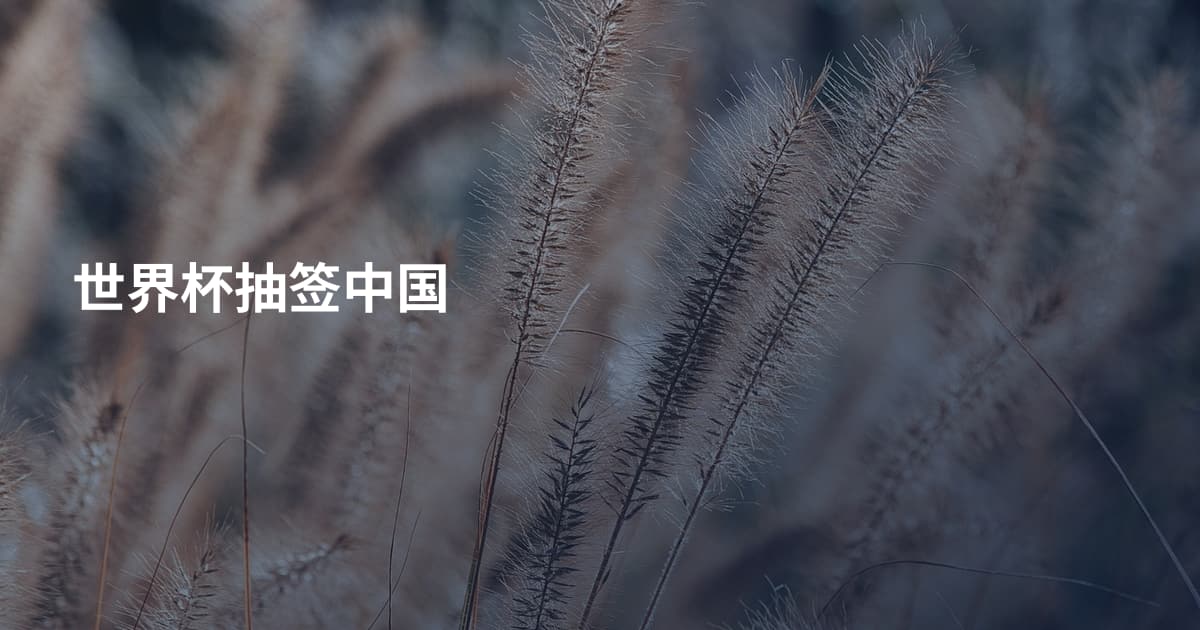世界杯抽签中国