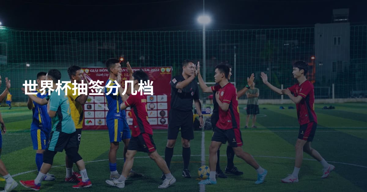 世界杯抽签分几档