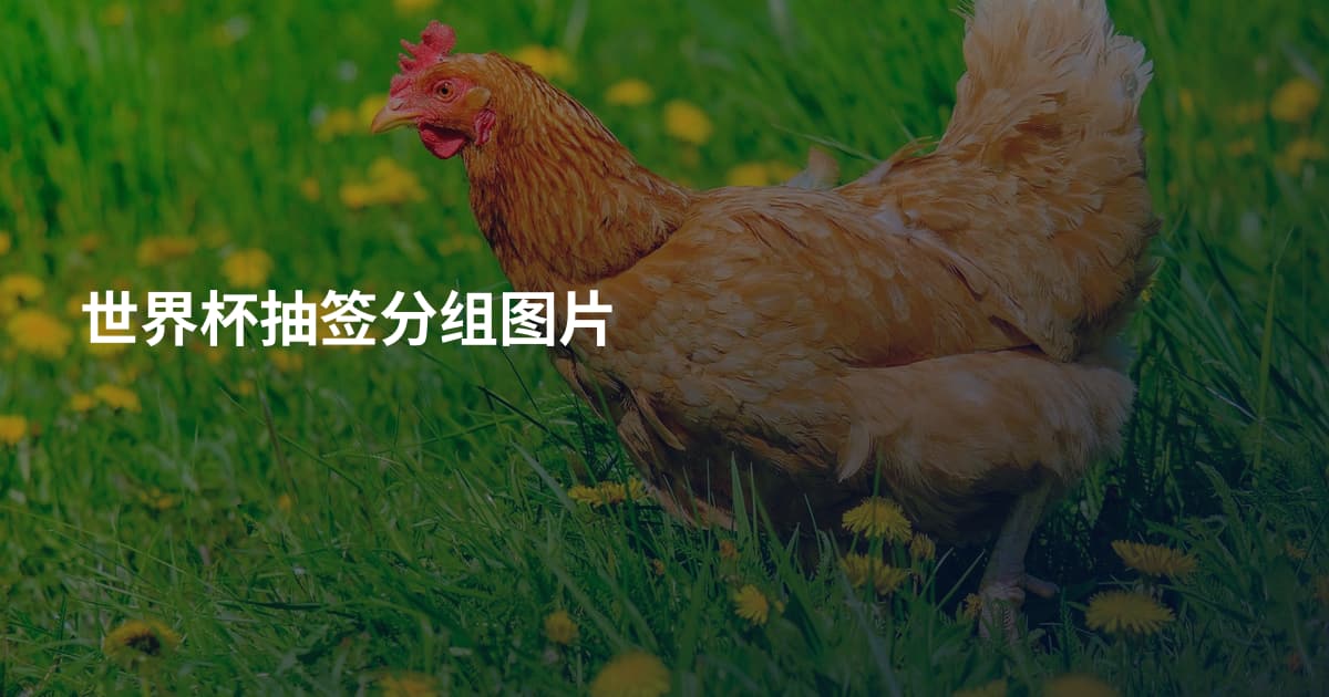世界杯抽签分组图片