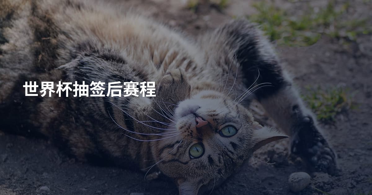 世界杯抽签后赛程