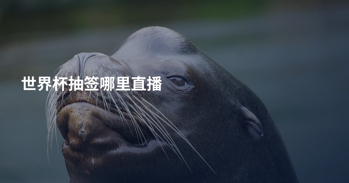 世界杯抽签哪里直播