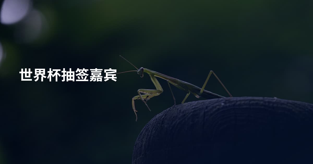 世界杯抽签嘉宾
