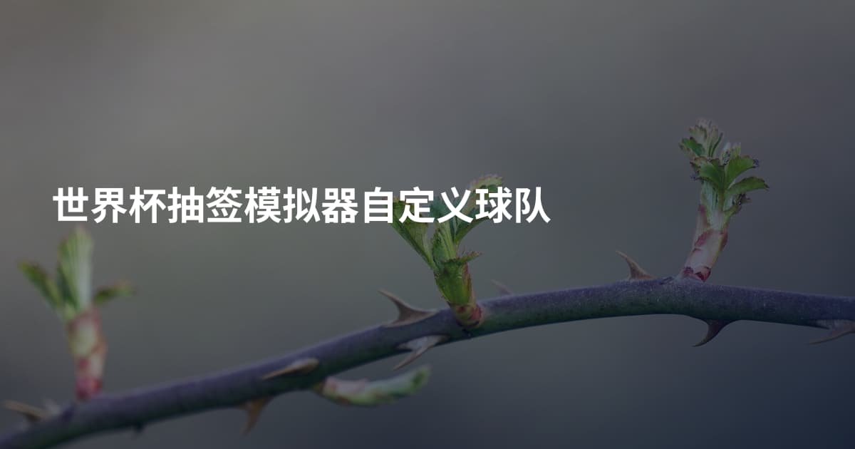 世界杯抽签模拟器自定义球队