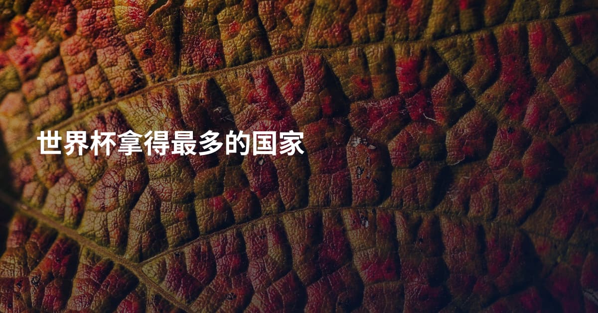 世界杯拿得最多的国家