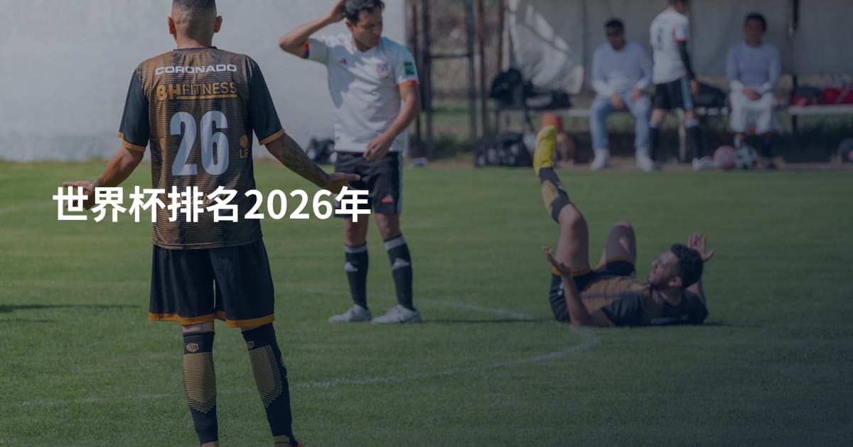 世界杯排名2026年
