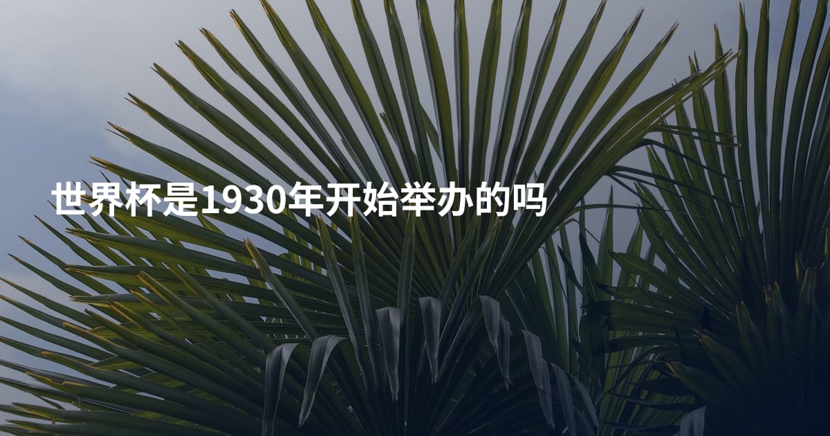 世界杯是1930年开始举办的吗