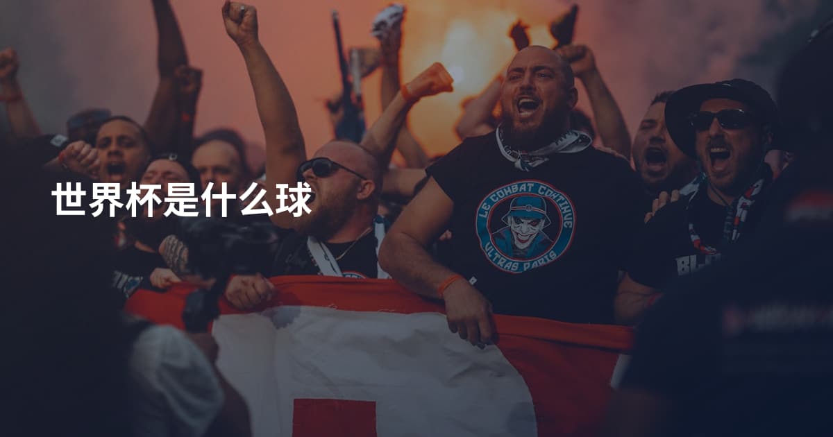 世界杯是什么球