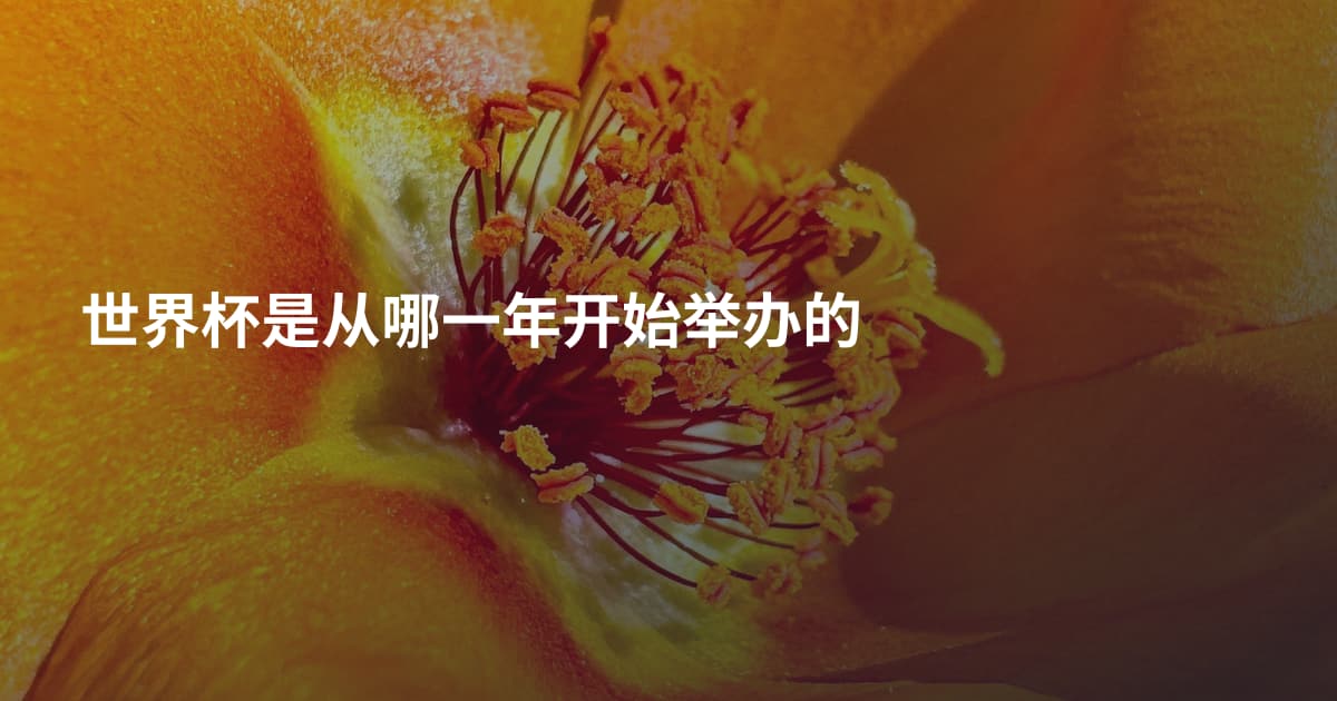 世界杯是从哪一年开始举办的