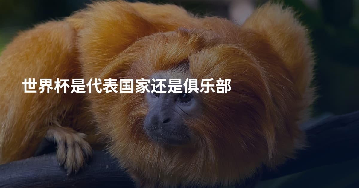 世界杯是代表国家还是俱乐部