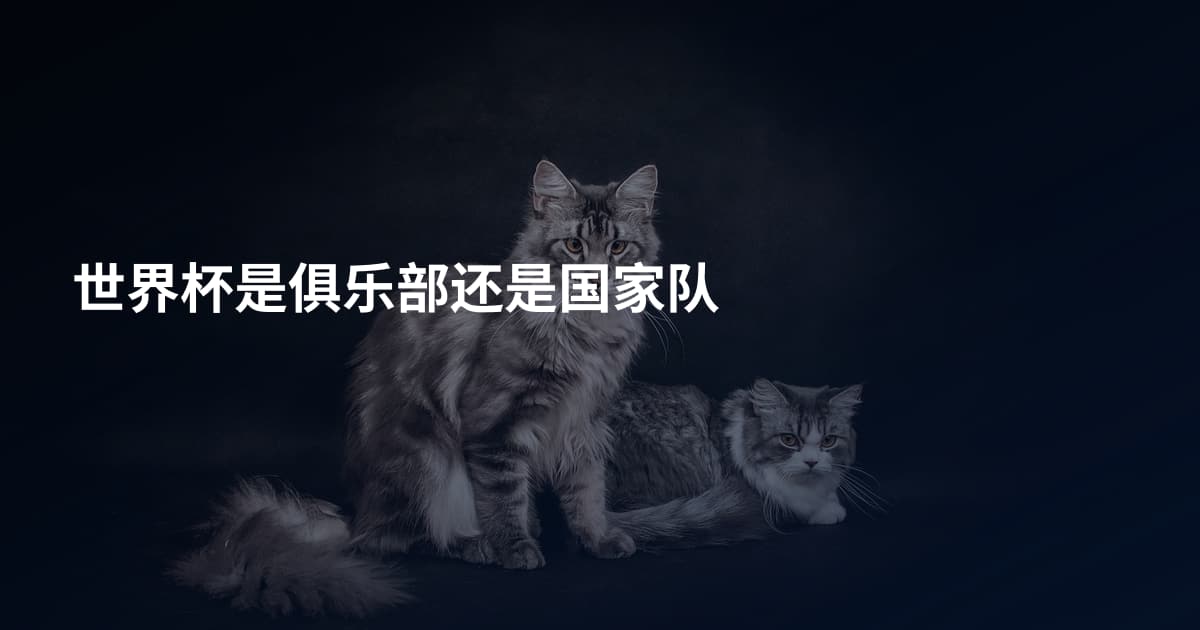 世界杯是俱乐部还是国家队