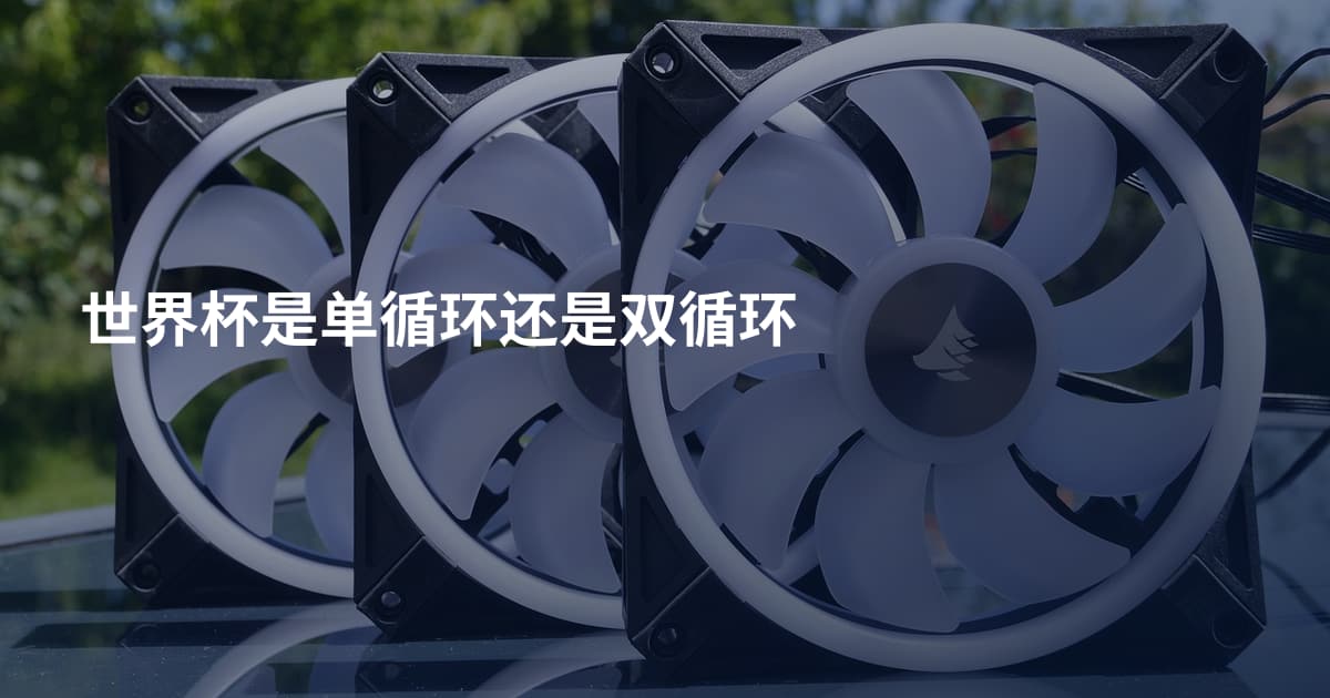 世界杯是单循环还是双循环