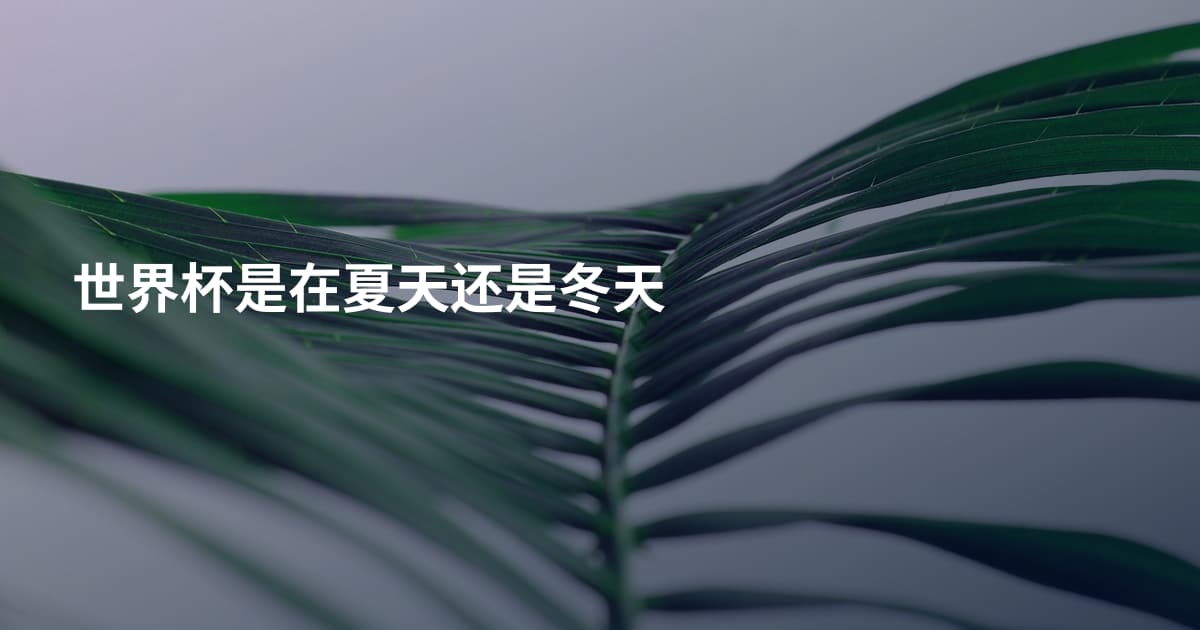 世界杯是在夏天还是冬天