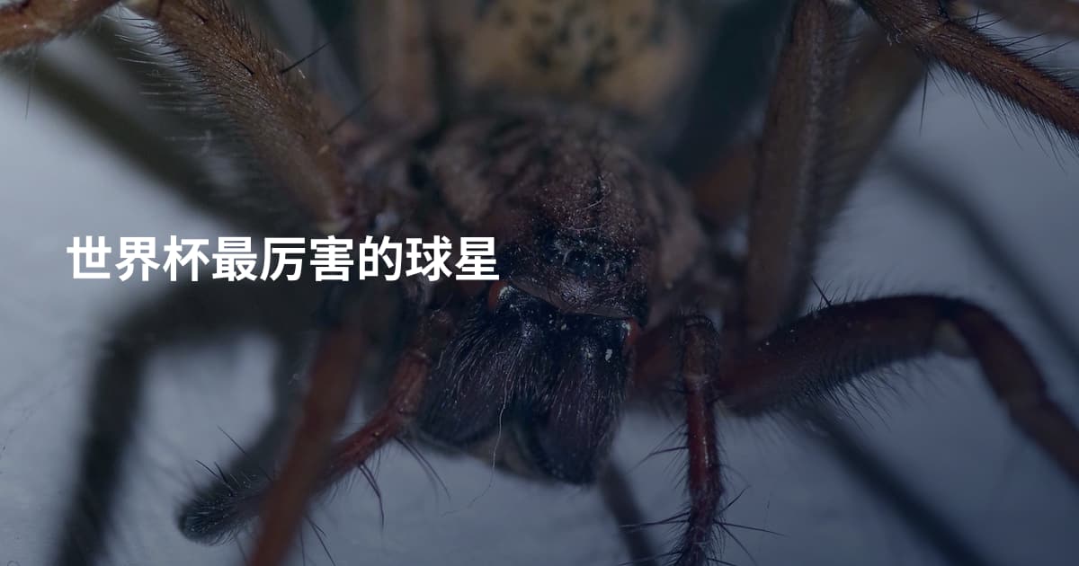 世界杯最厉害的球星