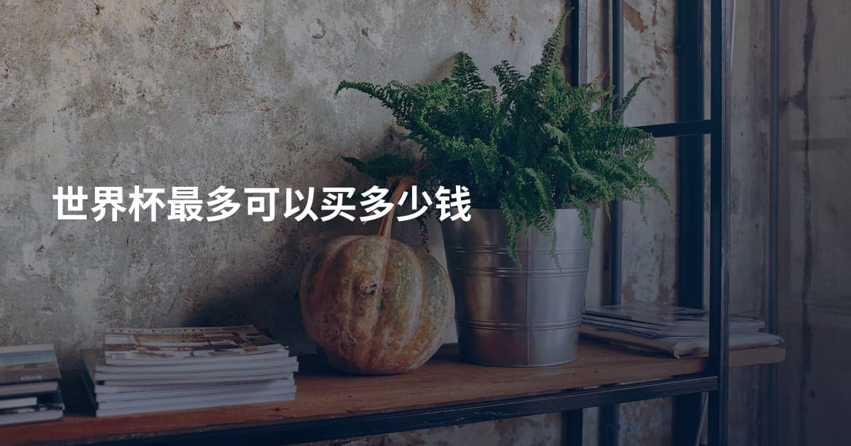 世界杯最多可以买多少钱