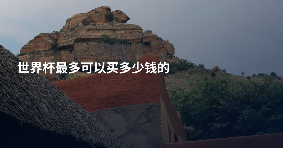 世界杯最多可以买多少钱的