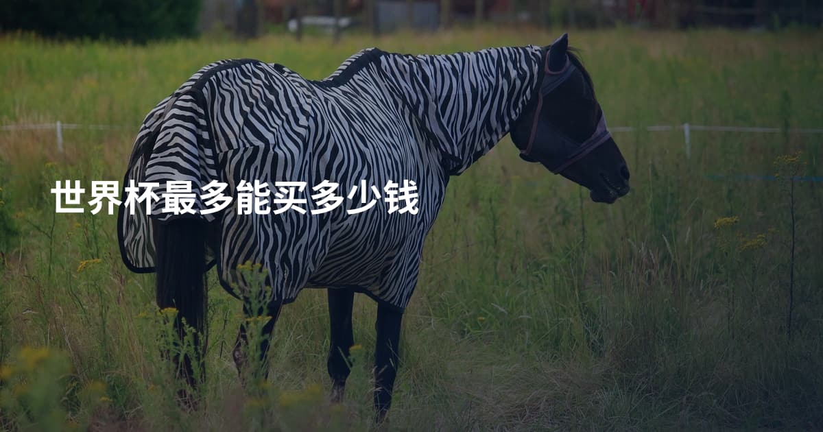 世界杯最多能买多少钱