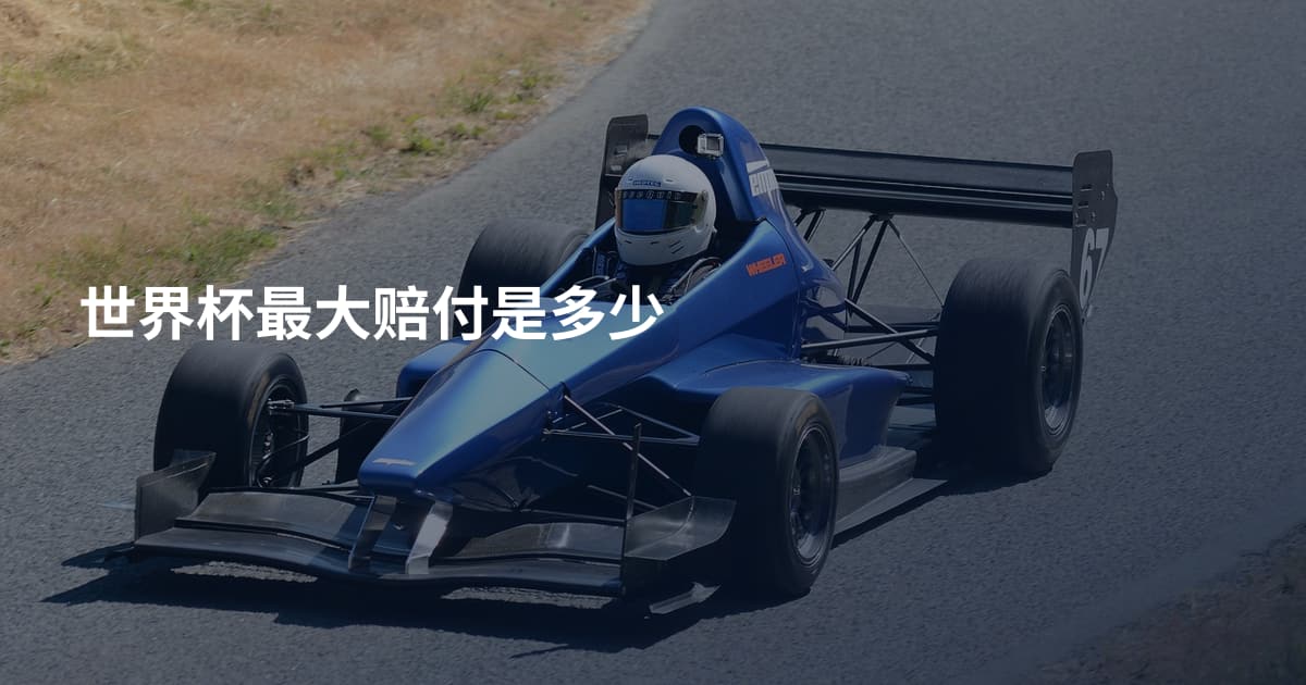世界杯最大赔付是多少