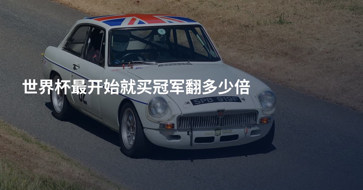 世界杯最开始就买冠军翻多少倍