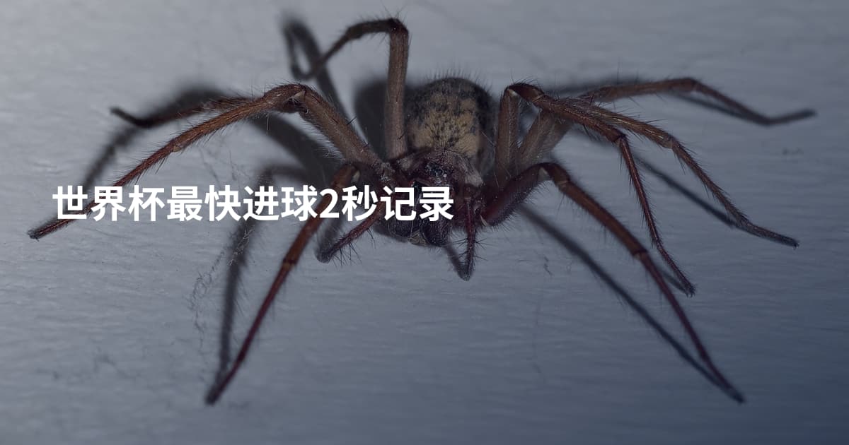 世界杯最快进球2秒记录