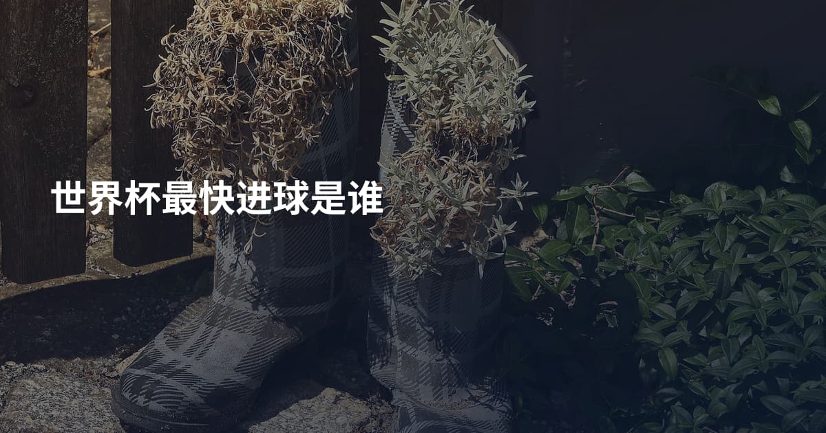世界杯最快进球是谁