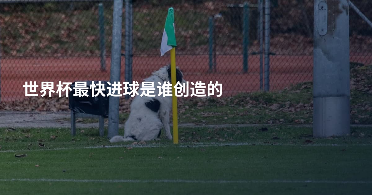 世界杯最快进球是谁创造的