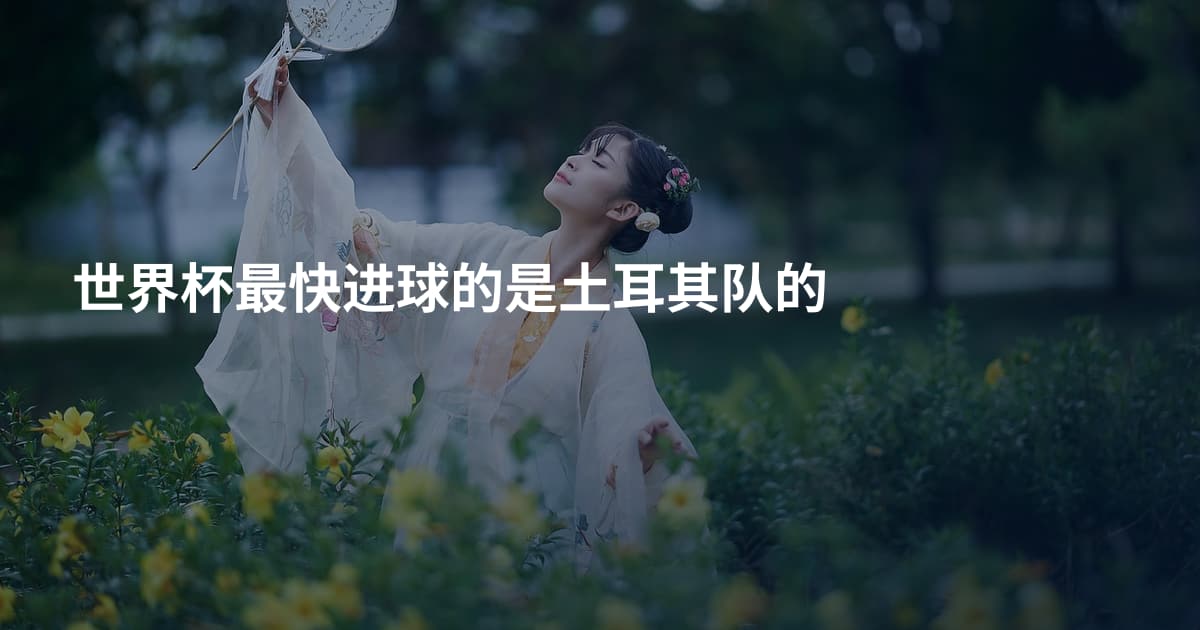 世界杯最快进球的是土耳其队的