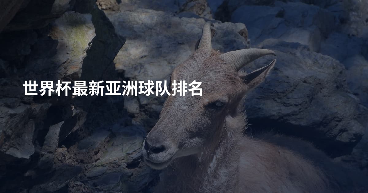 世界杯最新亚洲球队排名