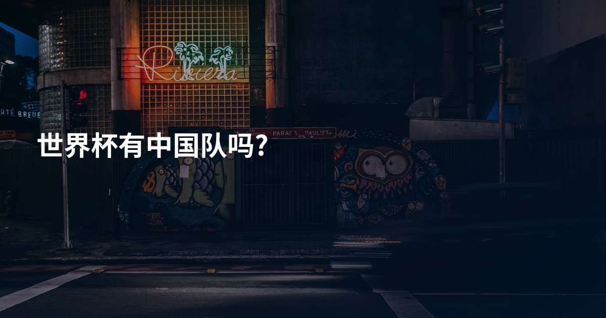 世界杯有中国队吗?