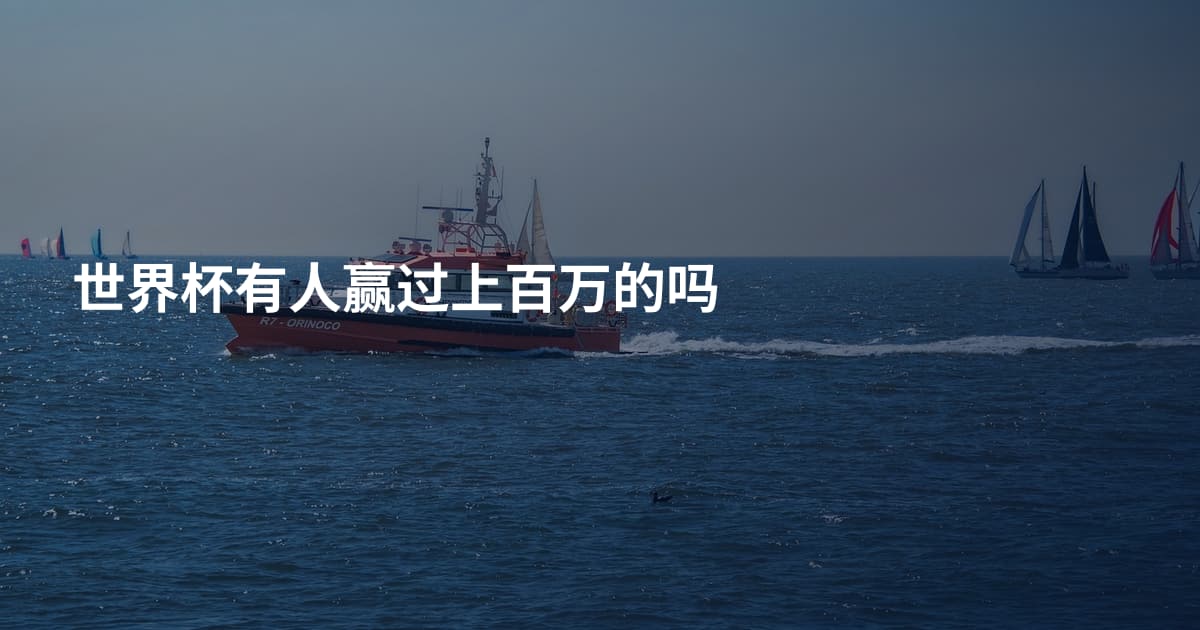 世界杯有人赢过上百万的吗