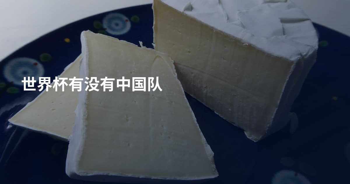 世界杯有没有中国队