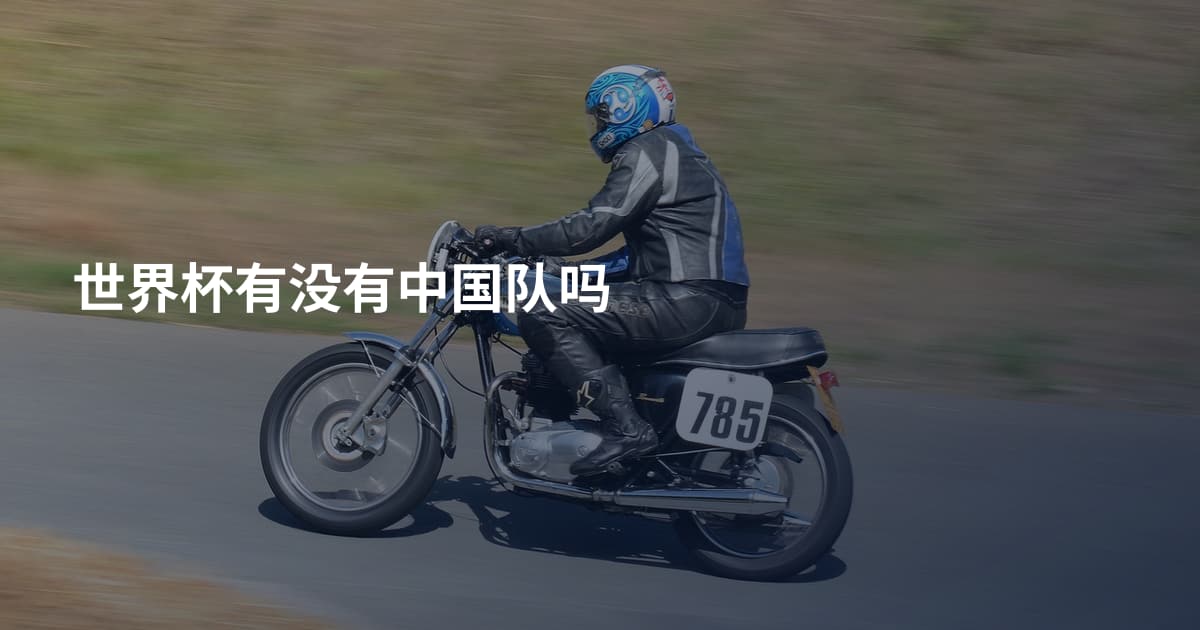 世界杯有没有中国队吗