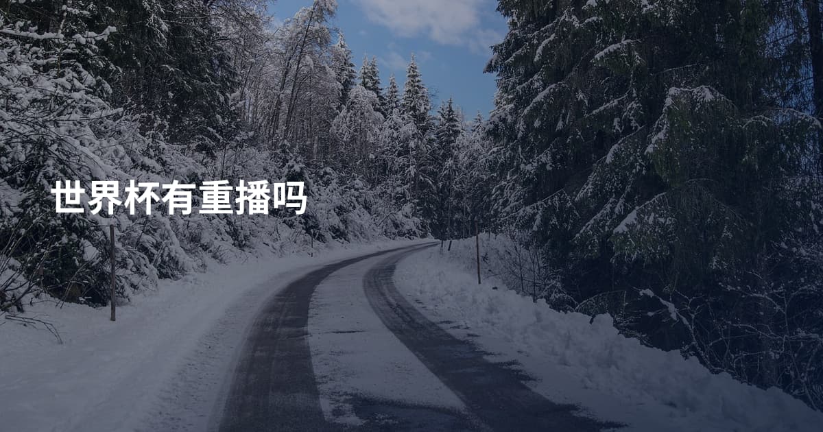 世界杯有重播吗