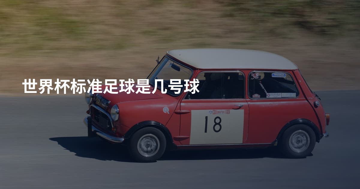 世界杯标准足球是几号球