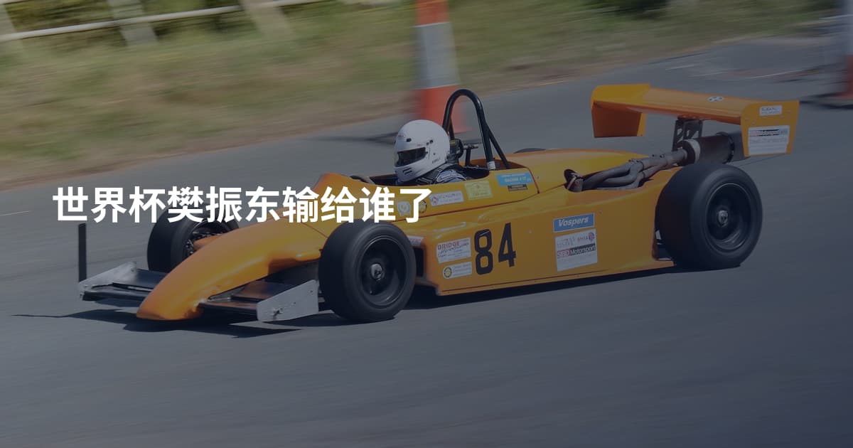 世界杯樊振东输给谁了